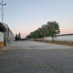 WhatsApp Image 2022-08-05 at 09.39.15