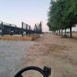 WhatsApp Image 2022-08-05 at 09.39.23 (1)