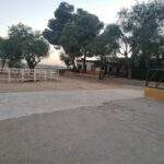 WhatsApp Image 2022-08-05 at 09.39.23