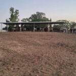 WhatsApp Image 2022-08-05 at 09.39.23 (4)